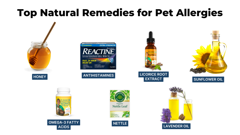 Natural Remedies to Help Alleviate Pet Allergies